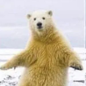 Meet your Posher, Enya